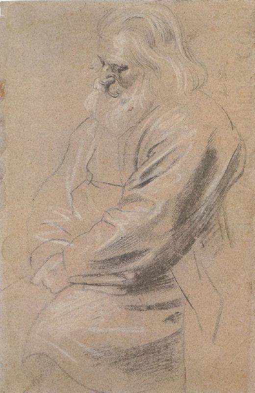 Peter Paul Rubens Sitting  old man china oil painting image